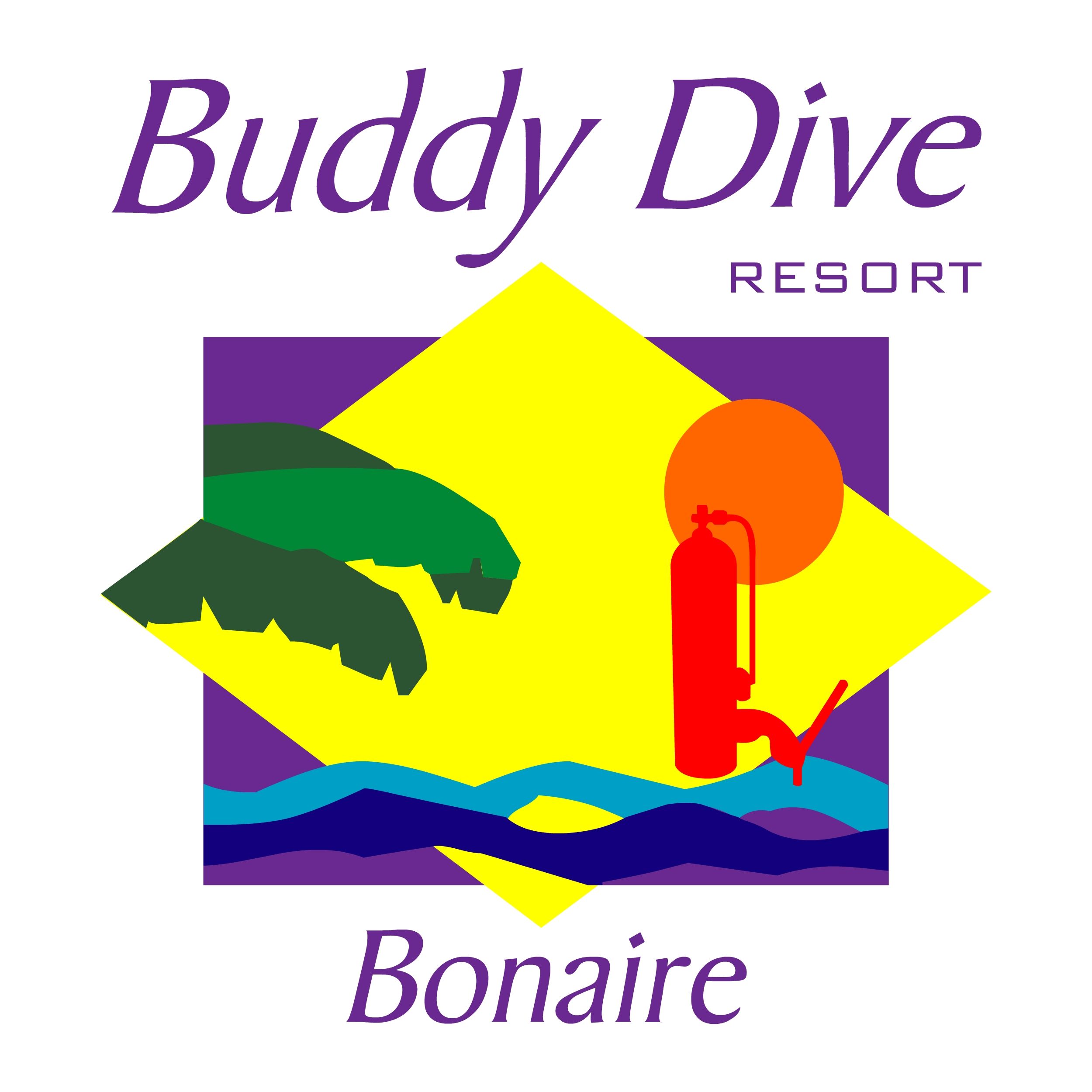 BDR Logo