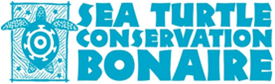 Sea Turtle Conservation Bonaire